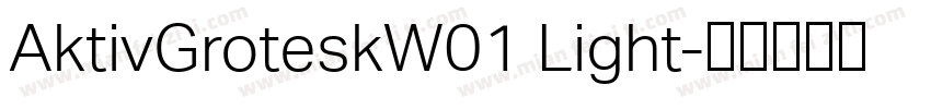 AktivGroteskW01 Light字体转换